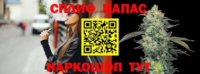 прущий лед Камень-на-Оби