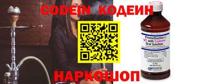 прущий лед Камень-на-Оби