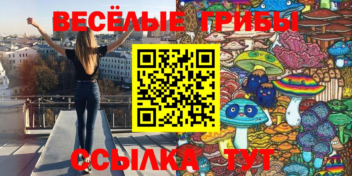 Псилоцибиновые грибы GOLDEN TEACHER  Вход с VPN  закладка  Отрадное  Псилоцибиновые грибы прущие грибы 